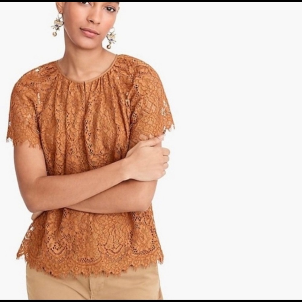 J Crew NWT M Tall Copper Lace Short Sleeve Blouse